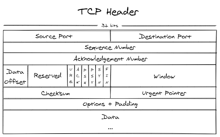 TCP Header